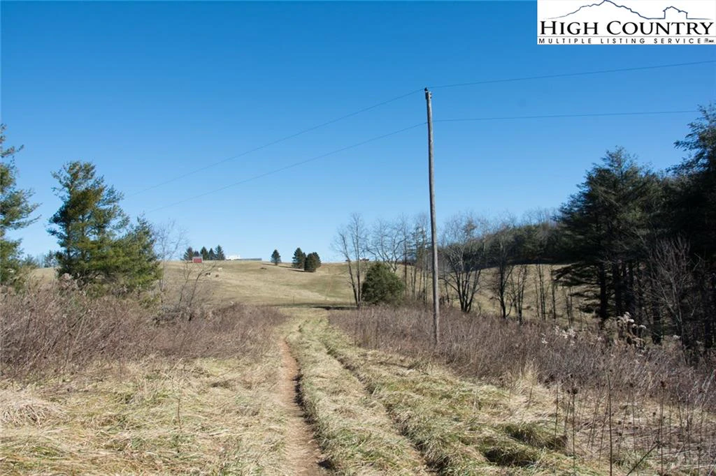 Image number 9 for the current listing