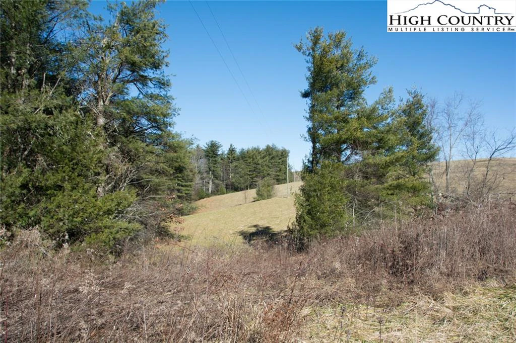Image number 7 for the current listing