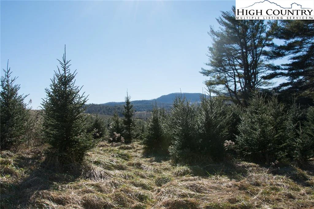 Image number 4 for the current listing