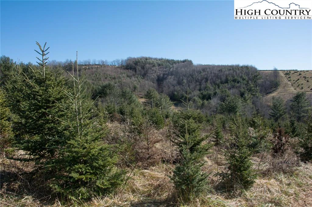 Image number 3 for the current listing