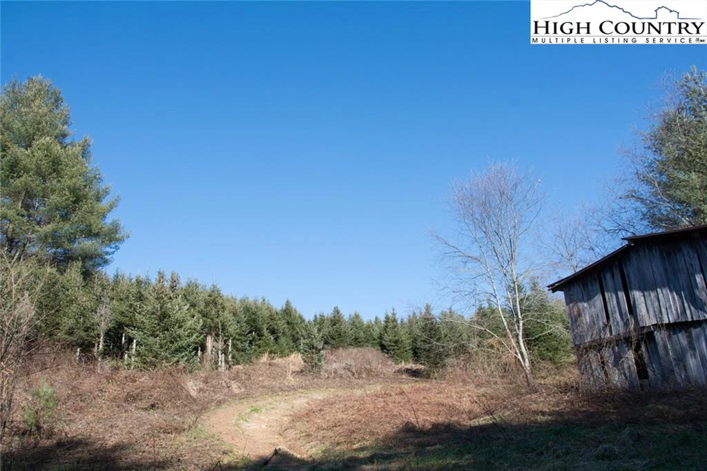Image number 19 for the current listing