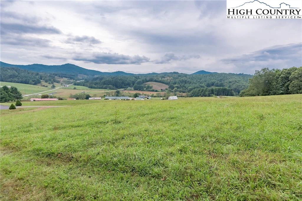Image number 1 for the current listing