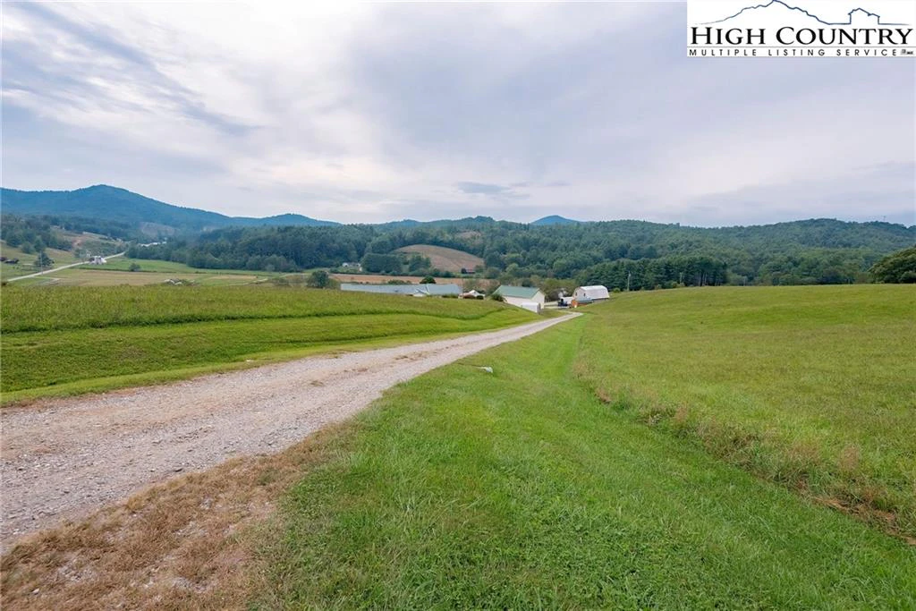 Image number 4 for the current listing