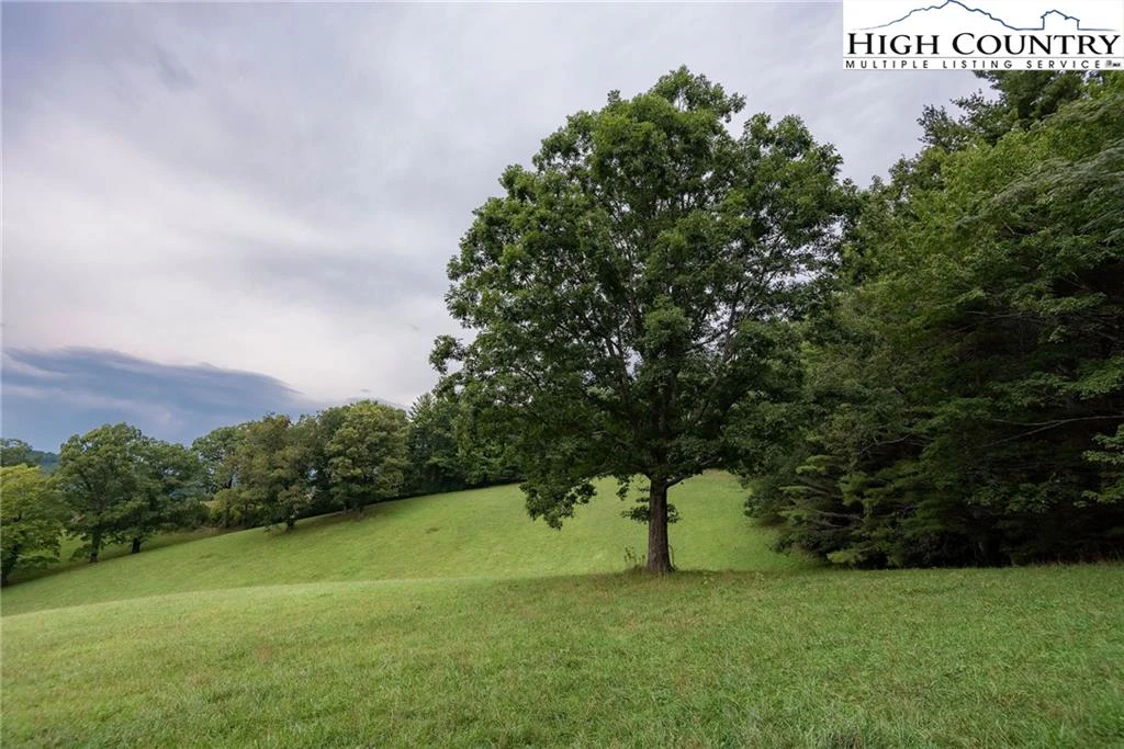 Image number 6 for the current listing
