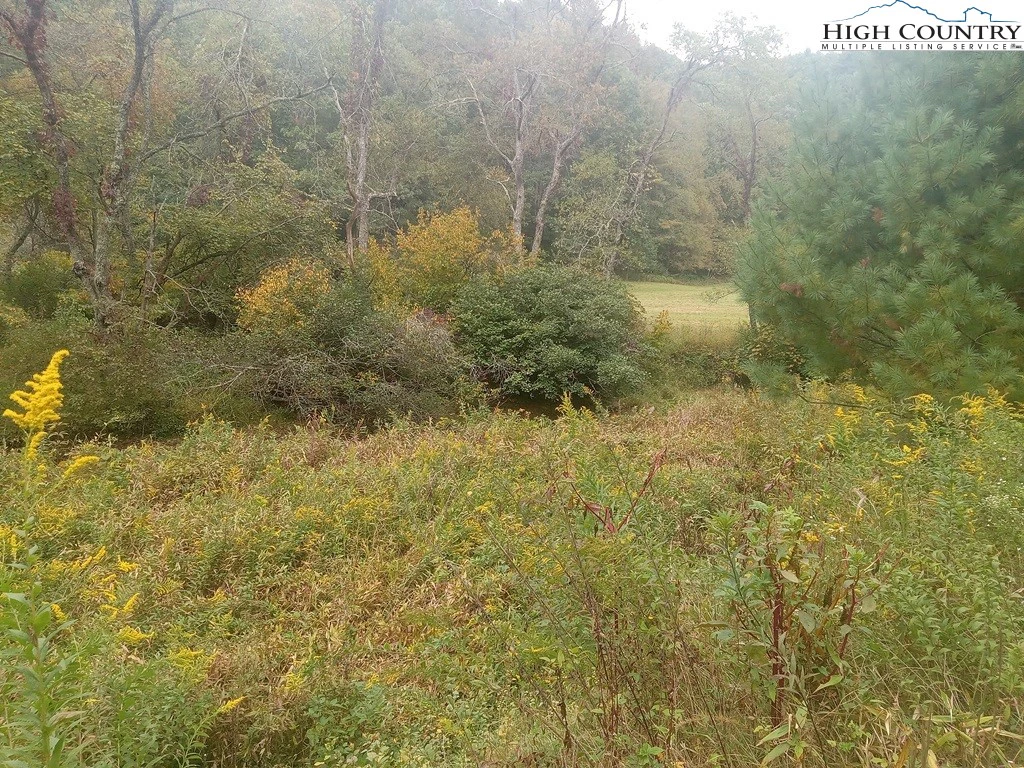 Image number 21 for the current listing