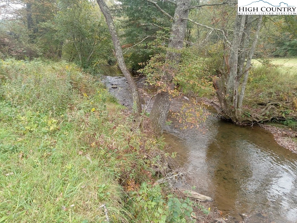 Image number 2 for the current listing