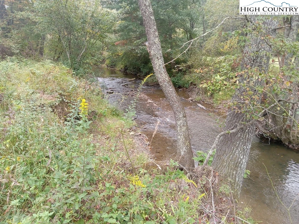 Image number 12 for the current listing