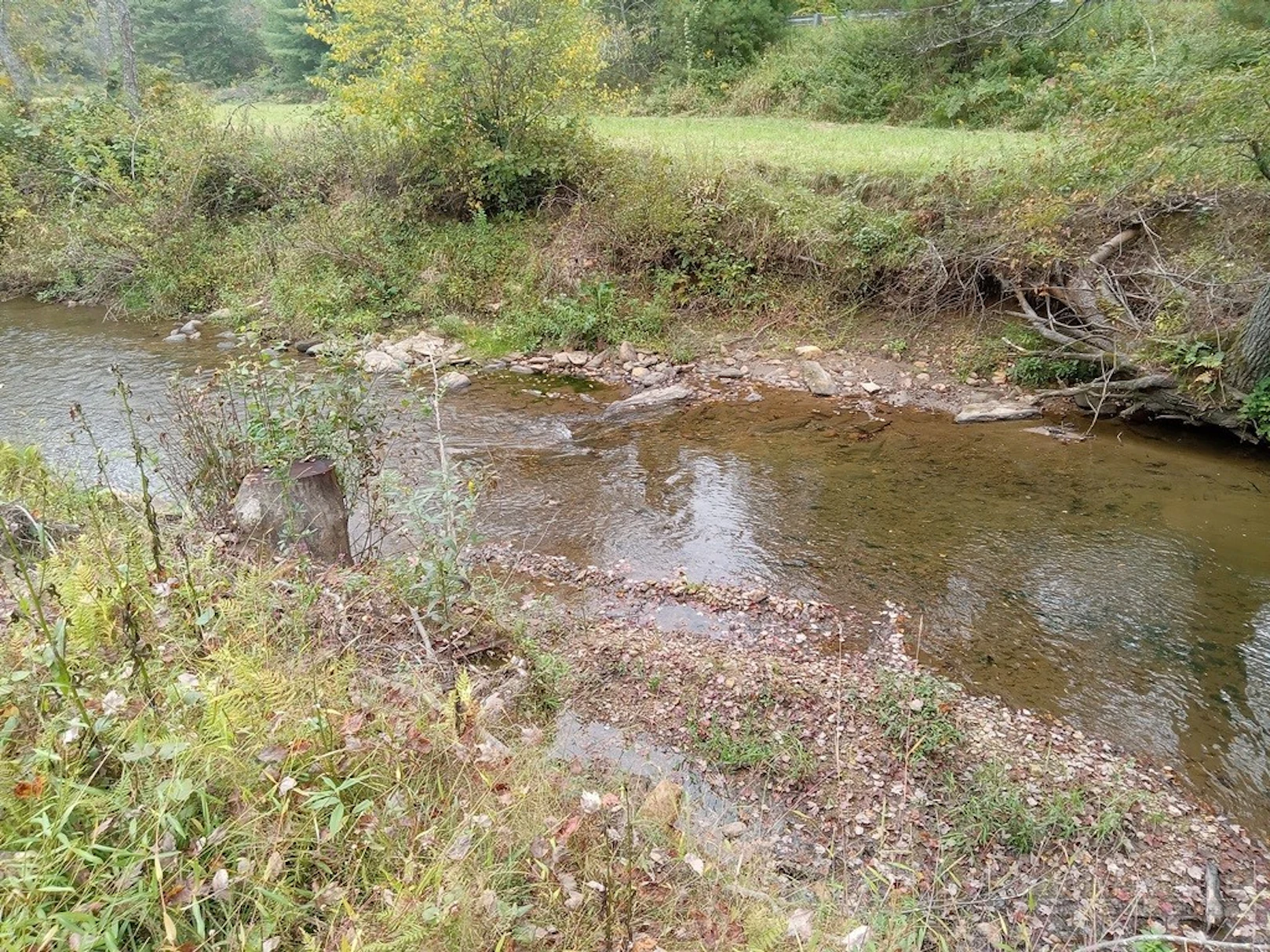Image number 1 for the current listing