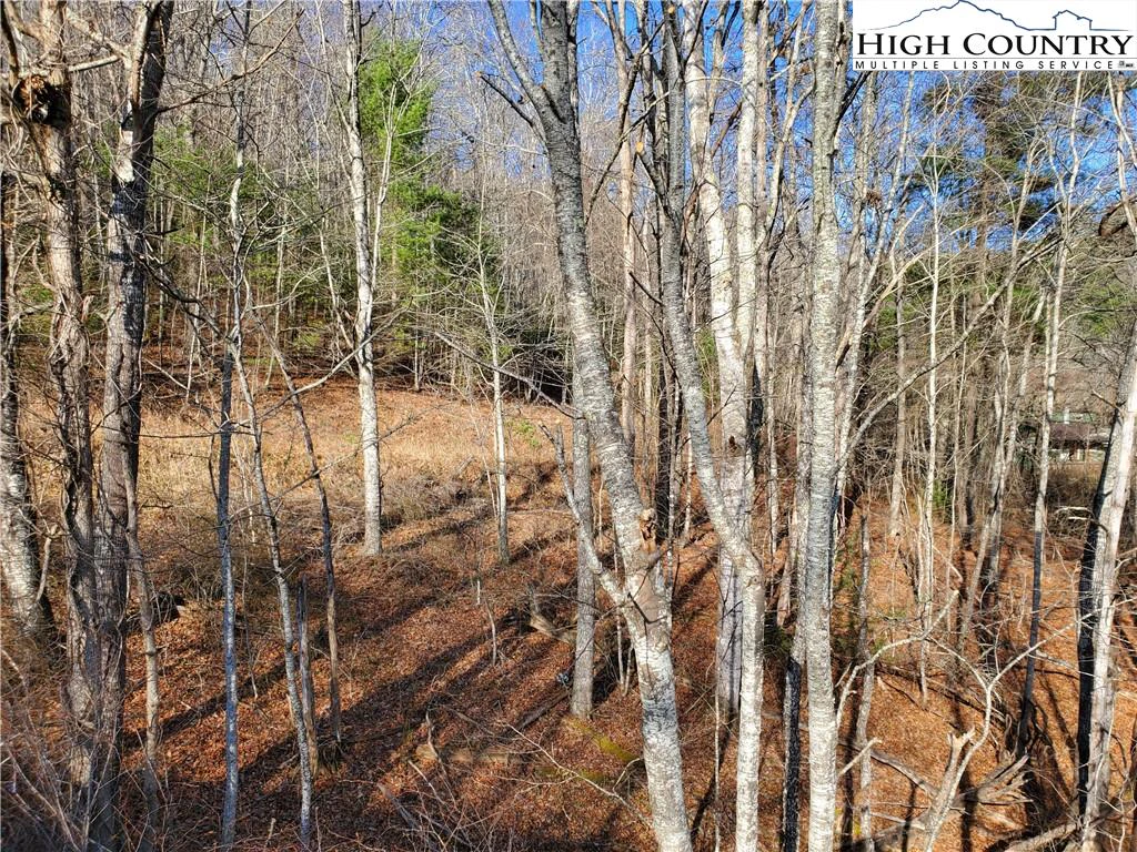 Image number 1 for the current listing