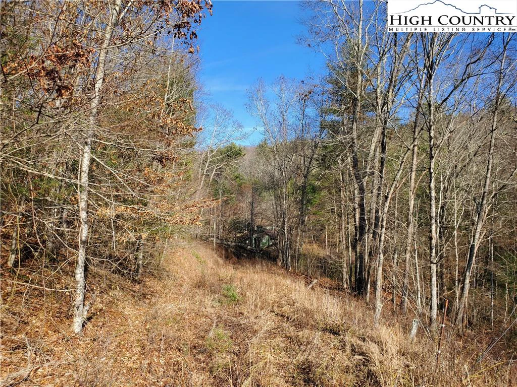 Image number 3 for the current listing