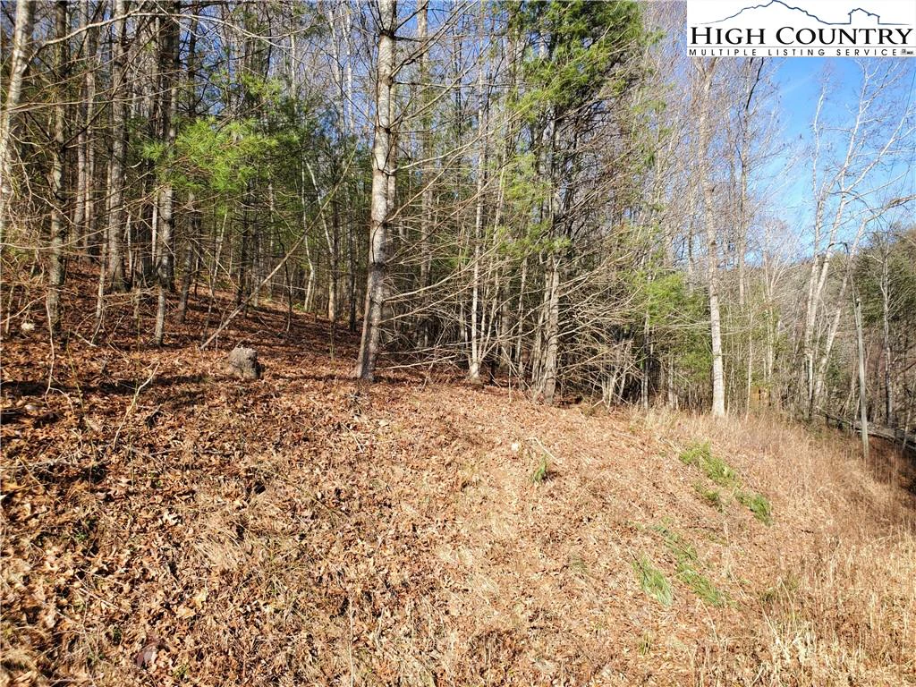 Image number 5 for the current listing