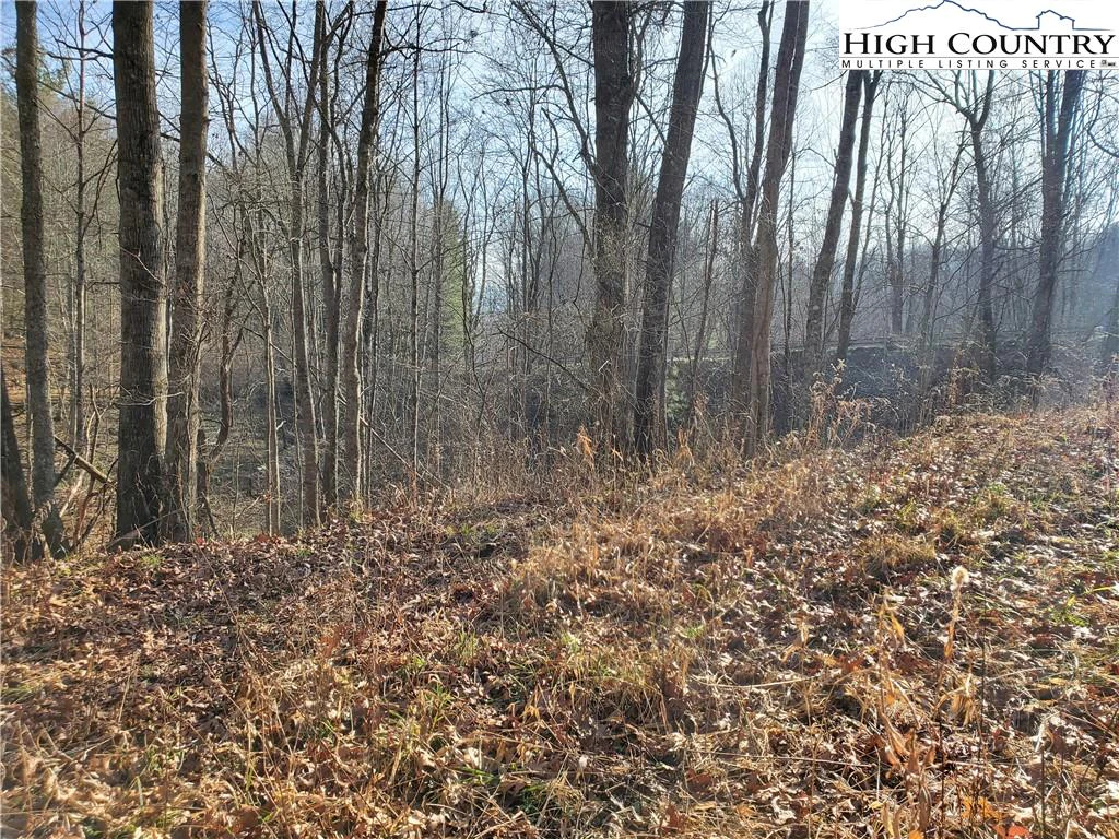 Image number 6 for the current listing