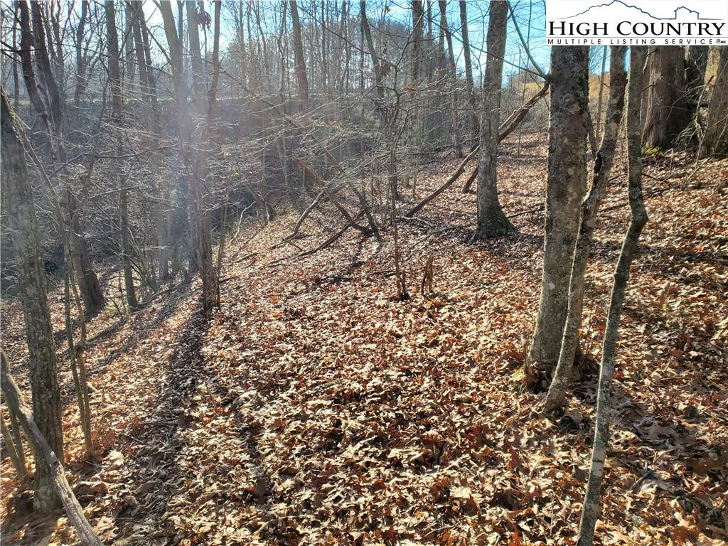 Image number 9 for the current listing