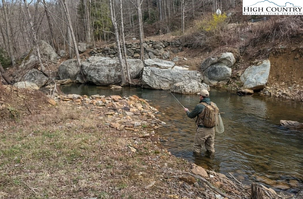 Image number 1 for the current listing