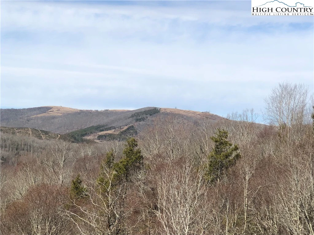 Image number 1 for the current listing
