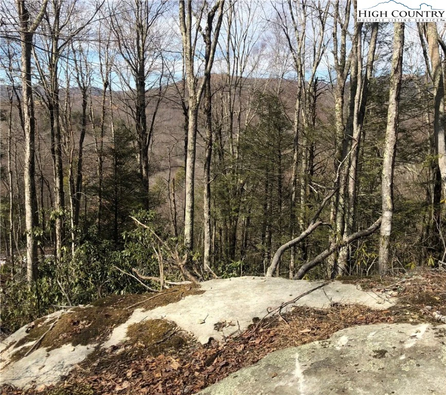 Image number 15 for the current listing