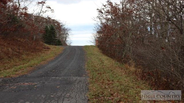 Image number 3 for the current listing