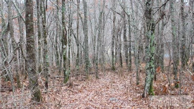 Image number 5 for the current listing
