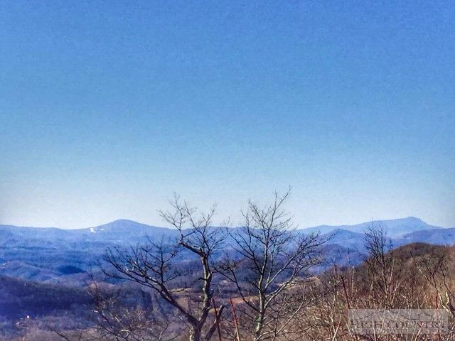 Image number 1 for the current listing