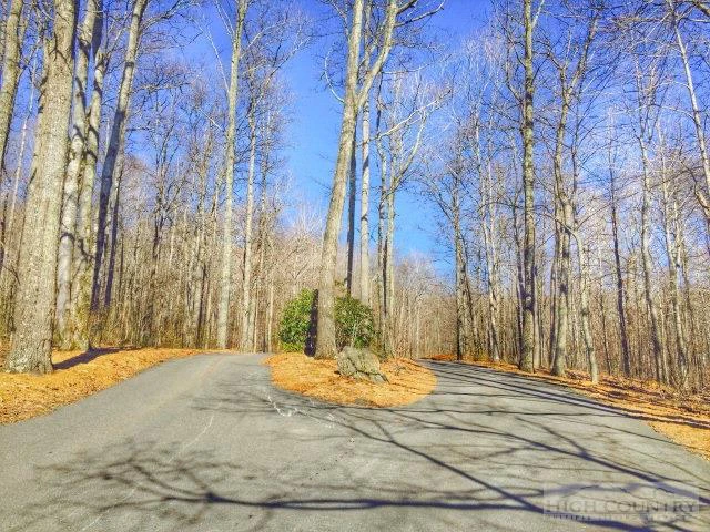 Image number 3 for the current listing