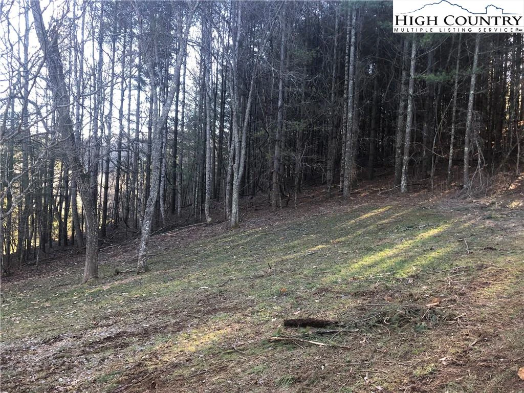 Image number 6 for the current listing