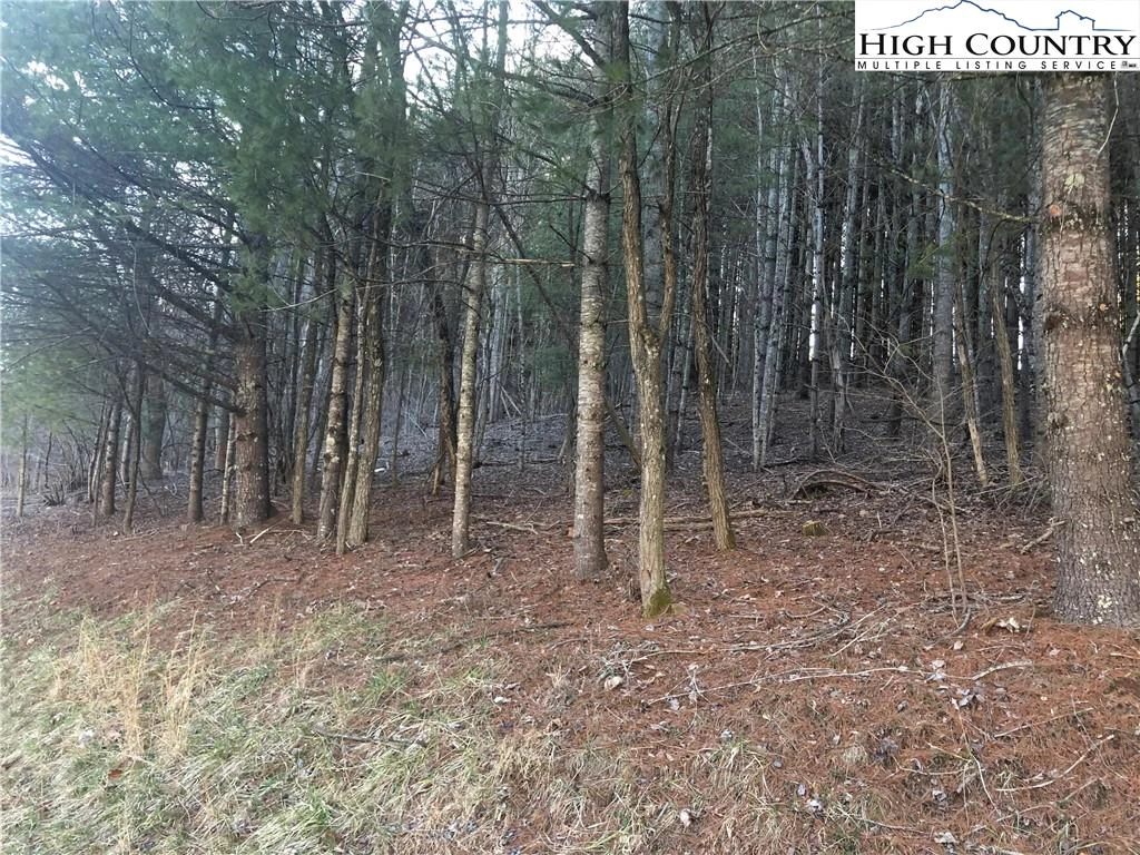 Image number 9 for the current listing