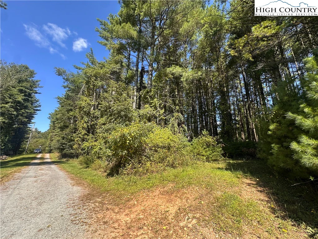 Image number 1 for the current listing