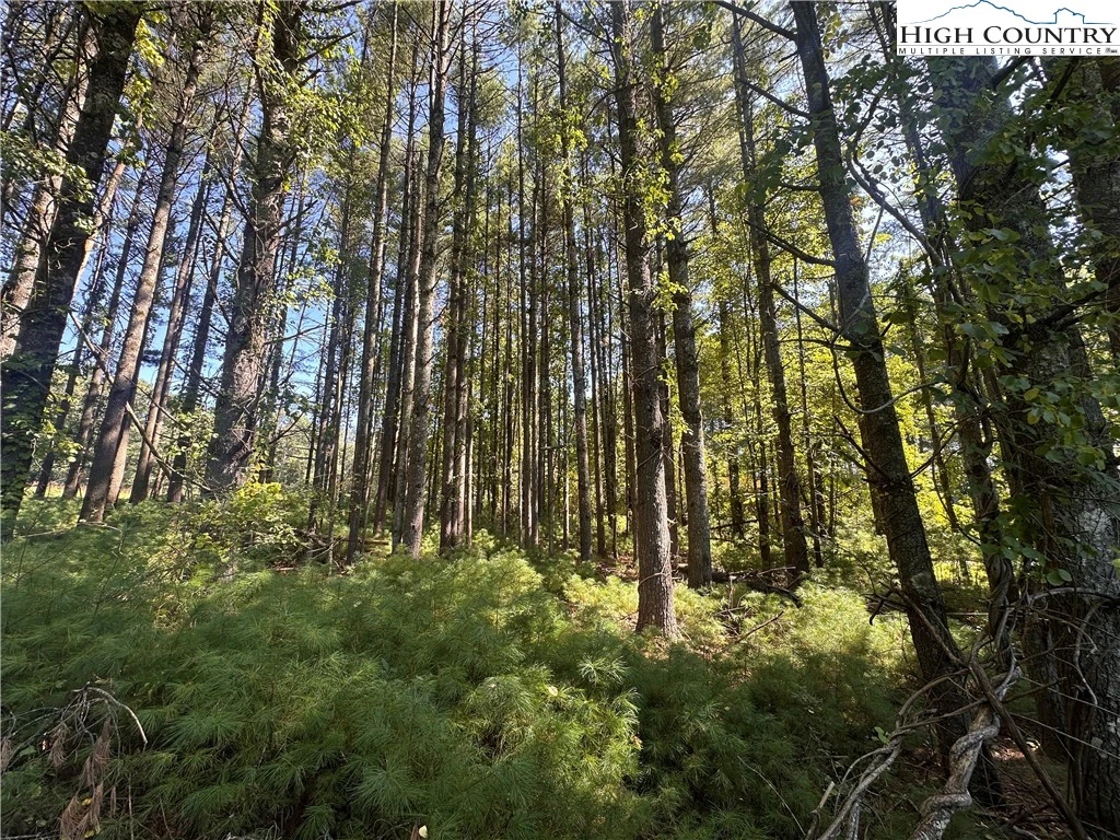 Image number 3 for the current listing