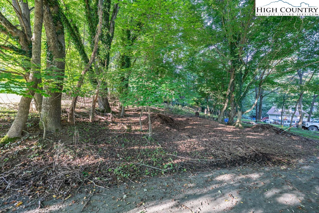 Image number 11 for the current listing