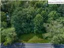 Image number 1 for the current listing
