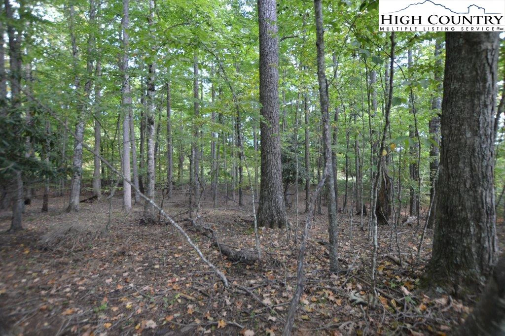 Image number 1 for the current listing