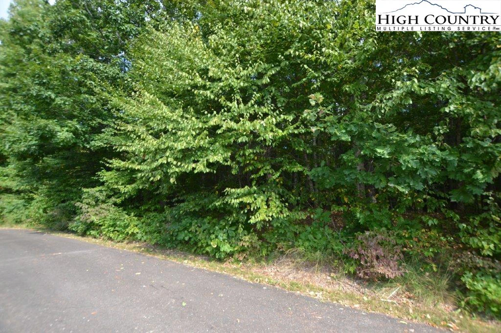 Image number 11 for the current listing