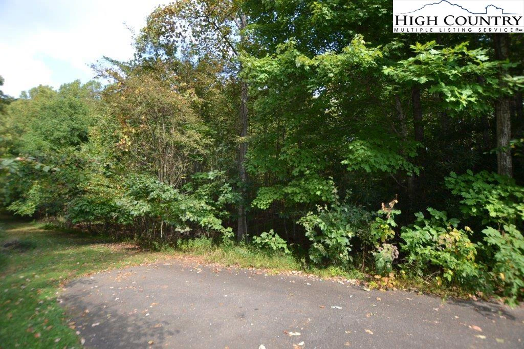 Image number 13 for the current listing
