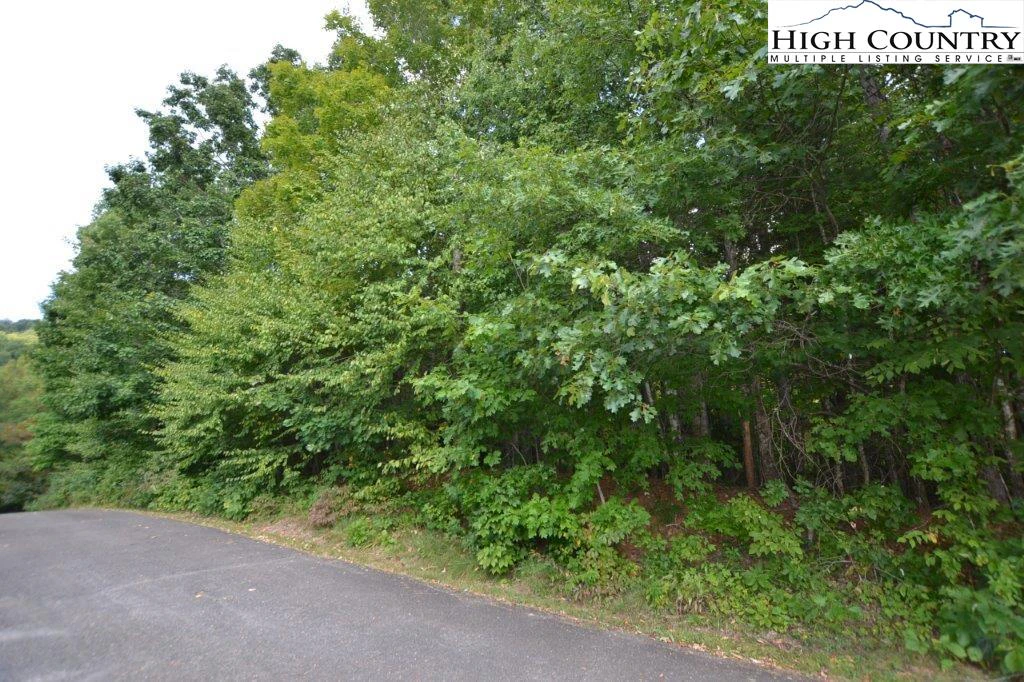 Image number 15 for the current listing