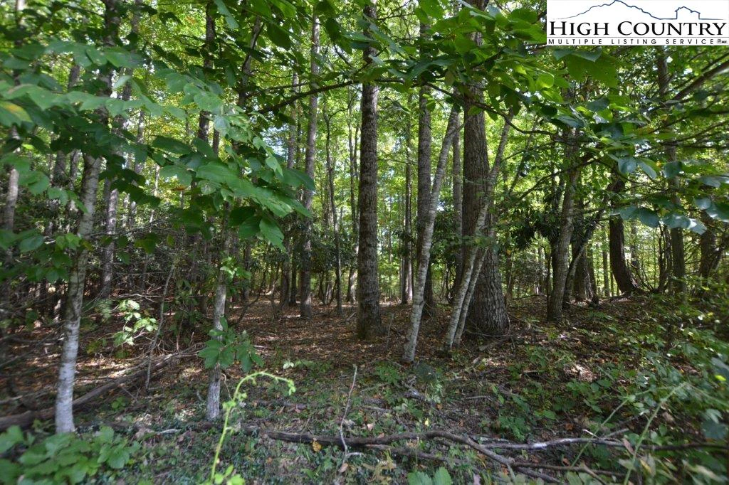 Image number 3 for the current listing