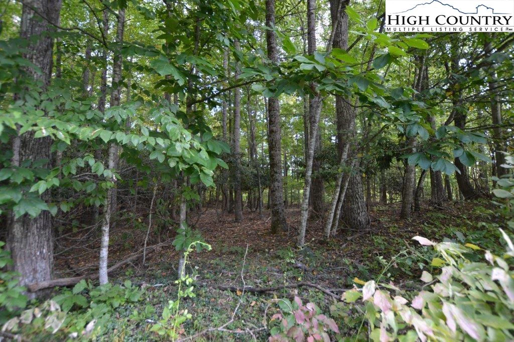 Image number 4 for the current listing