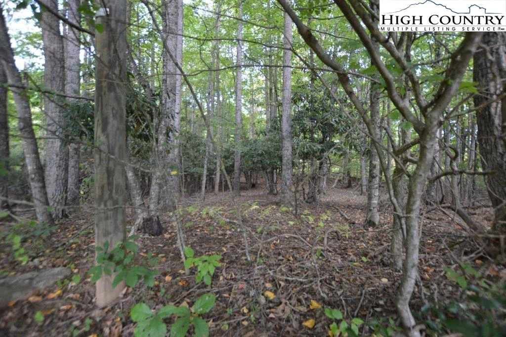 Image number 5 for the current listing