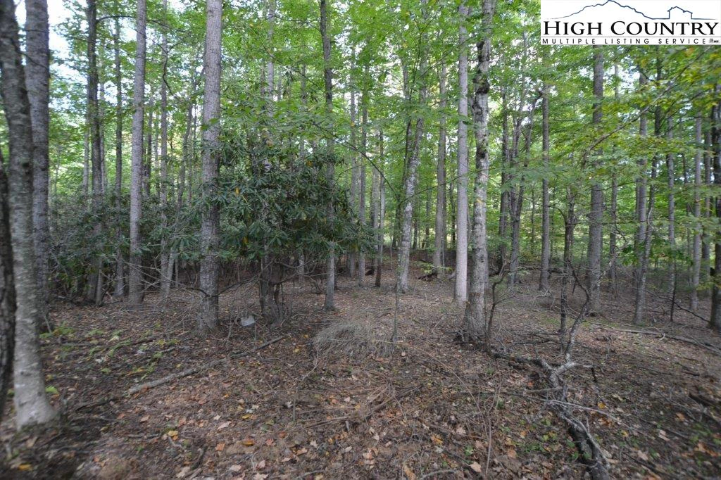 Image number 6 for the current listing