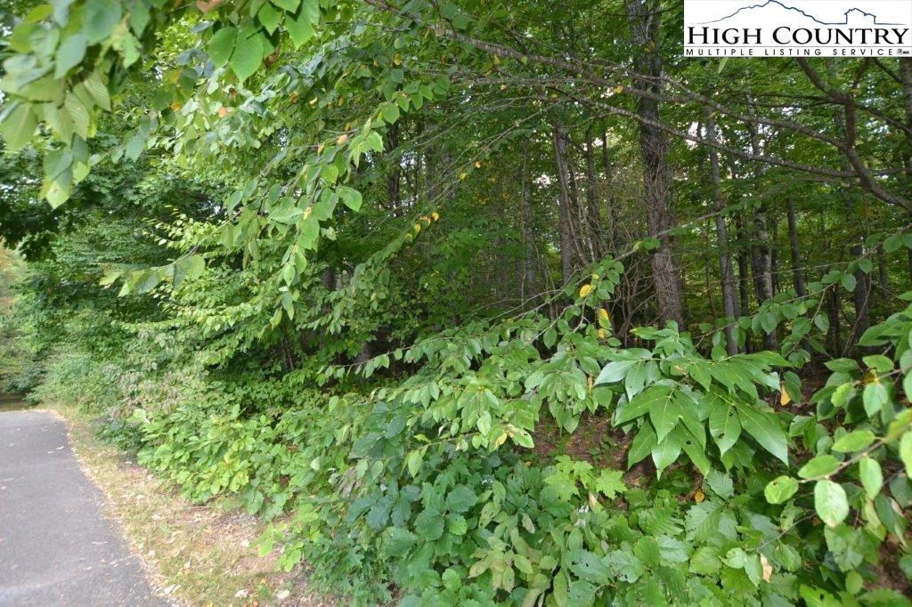 Image number 8 for the current listing