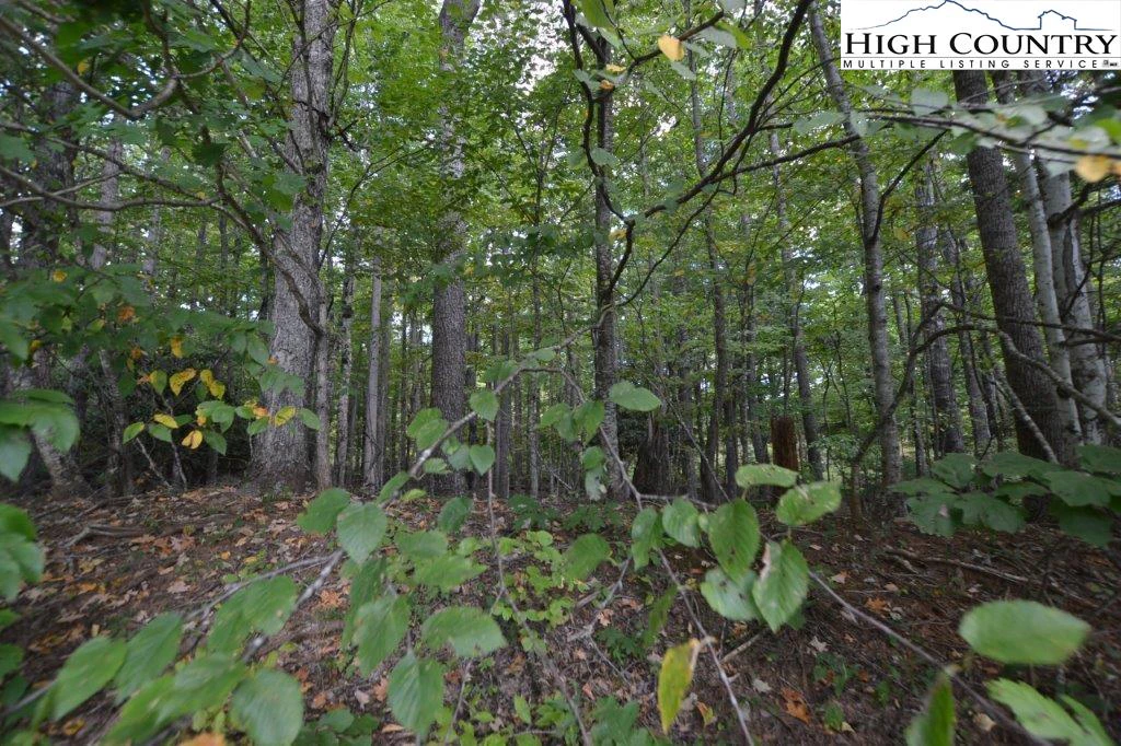 Image number 9 for the current listing