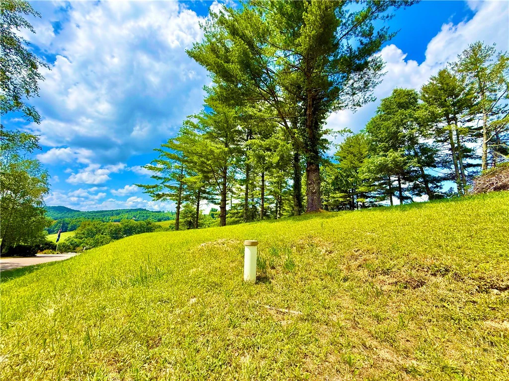 Image number 10 for the current listing