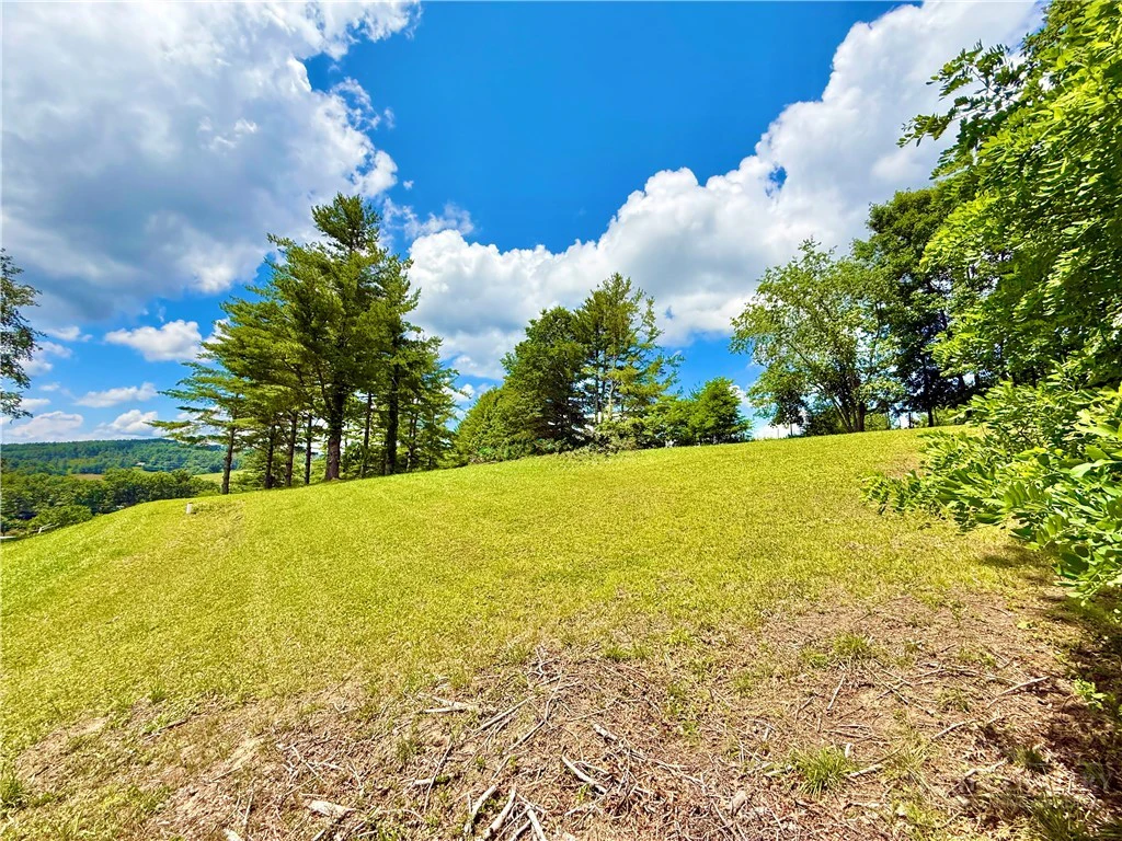 Image number 9 for the current listing