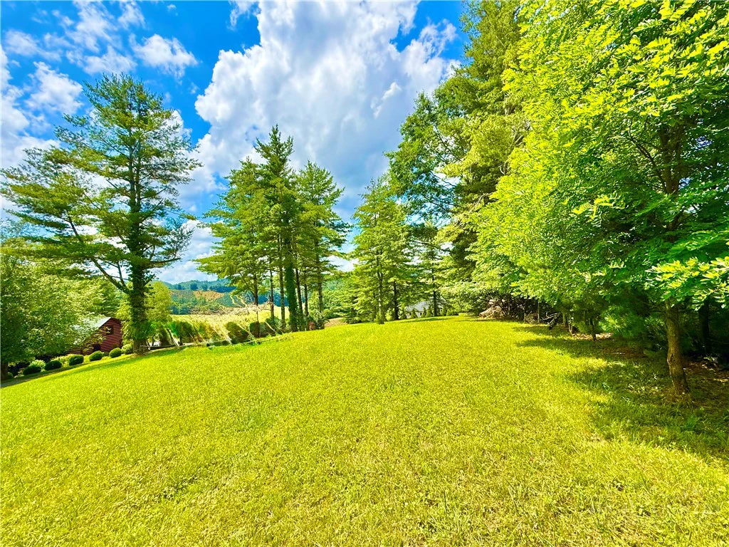 Image number 3 for the current listing