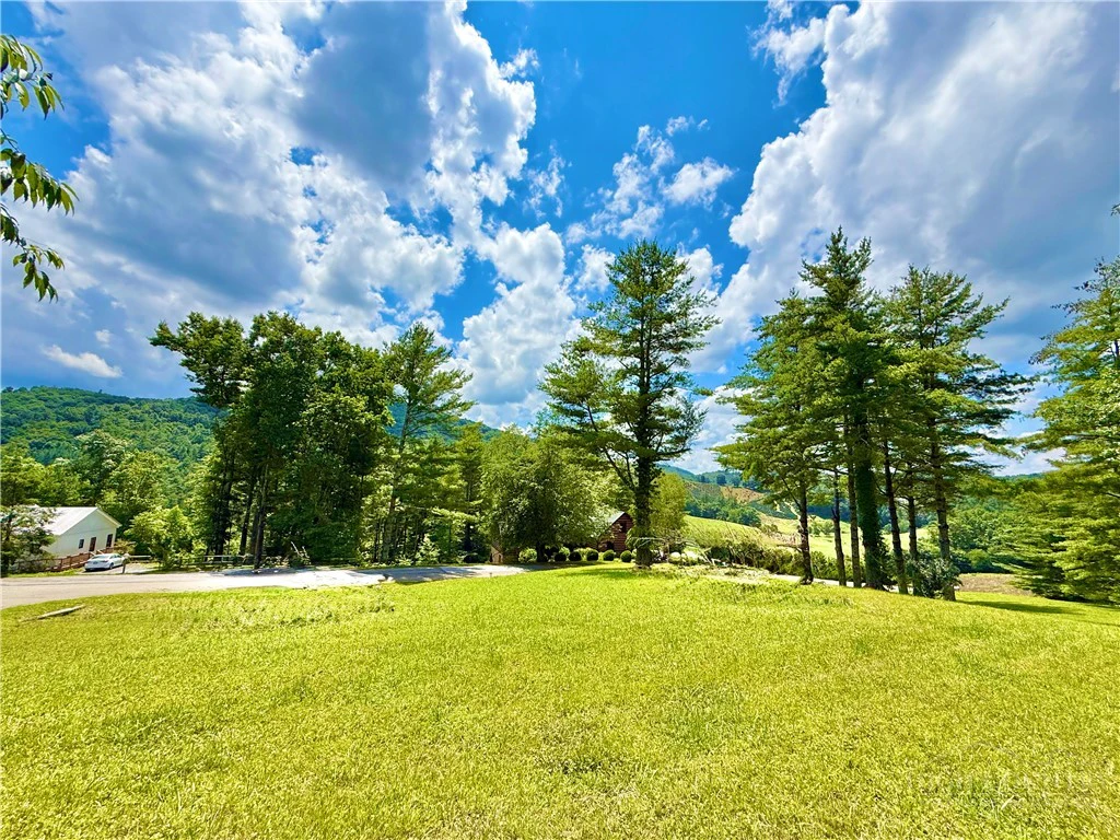Image number 4 for the current listing
