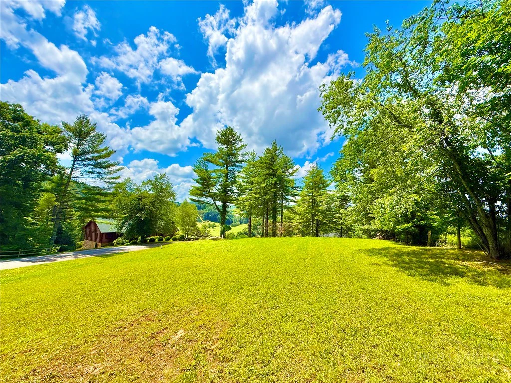 Image number 5 for the current listing