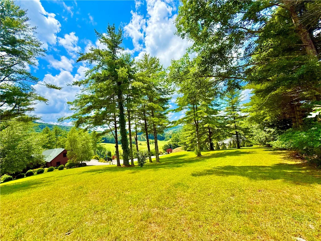 Image number 7 for the current listing