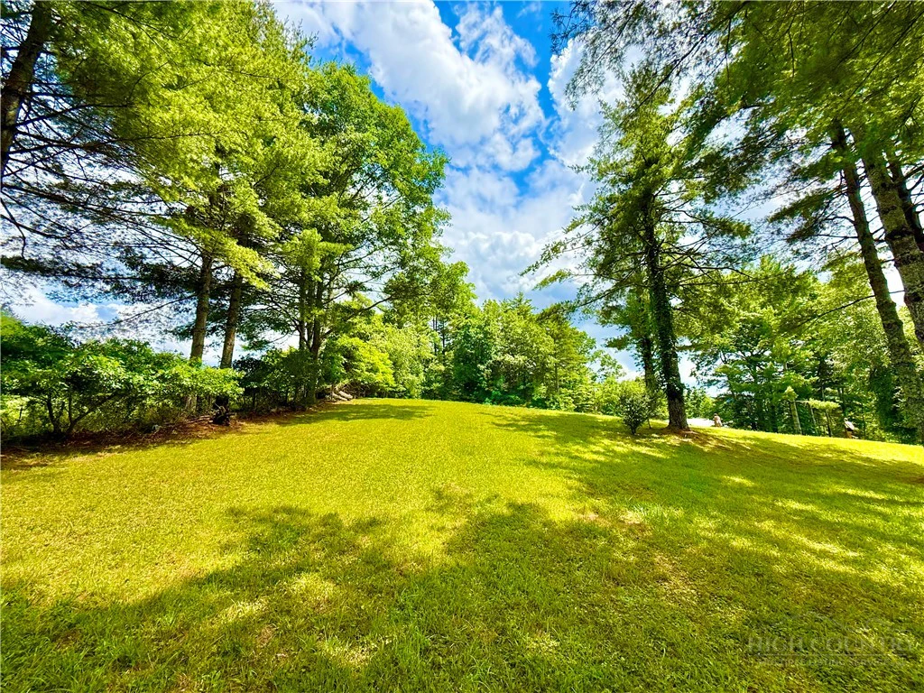 Image number 8 for the current listing