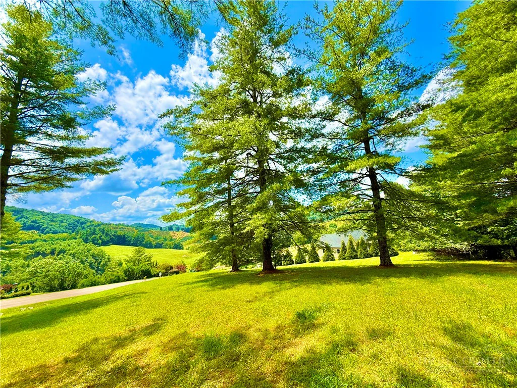 Image number 2 for the current listing