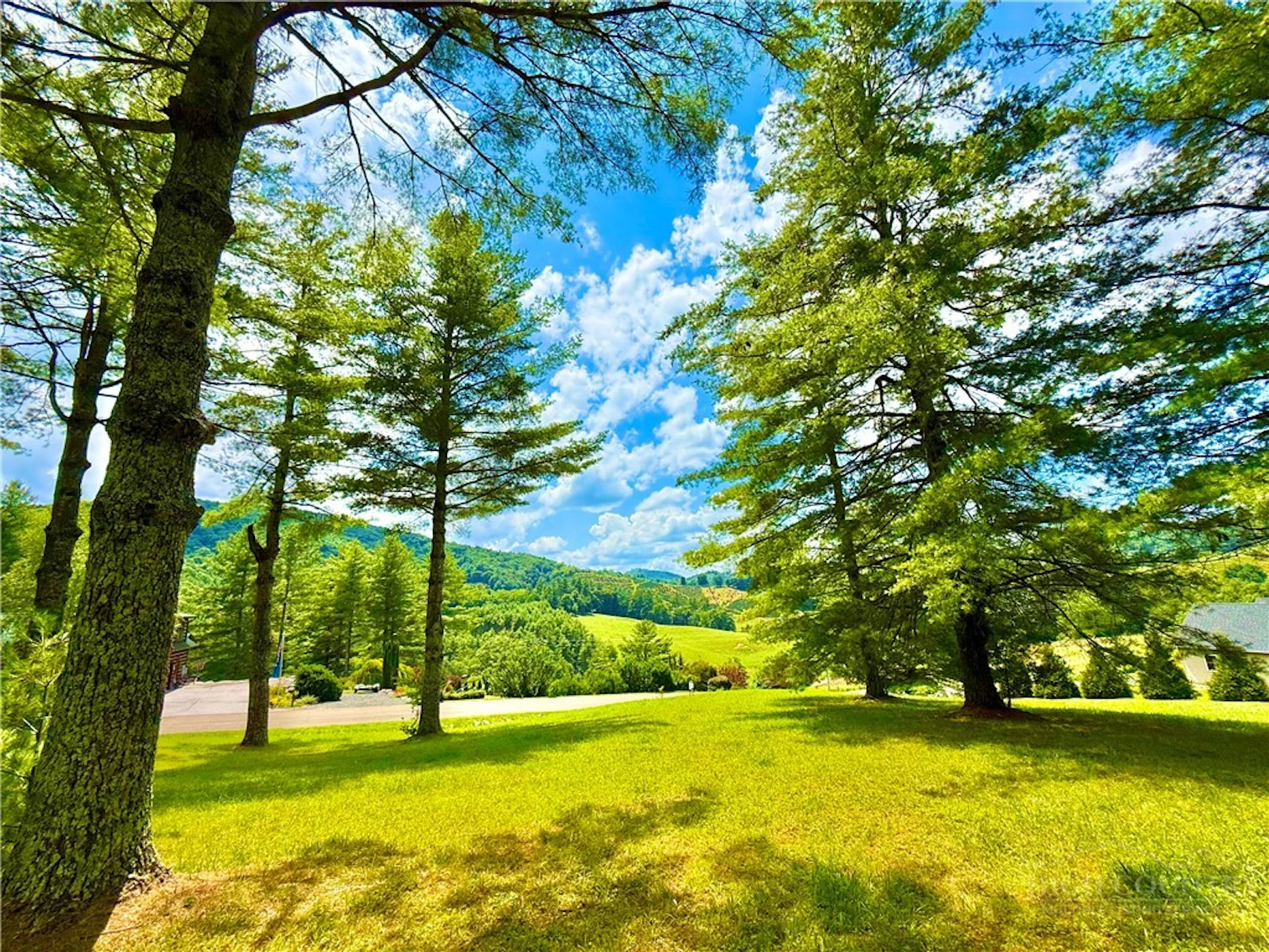 Image number 1 for the current listing