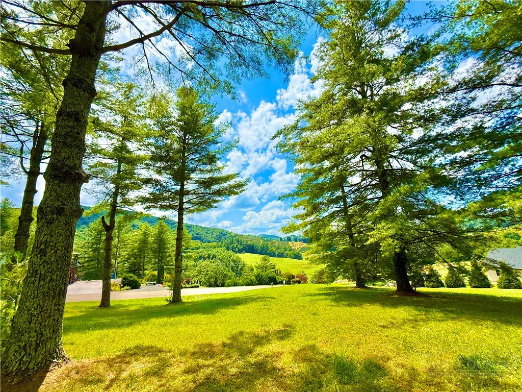 Image number 1 for the current listing
